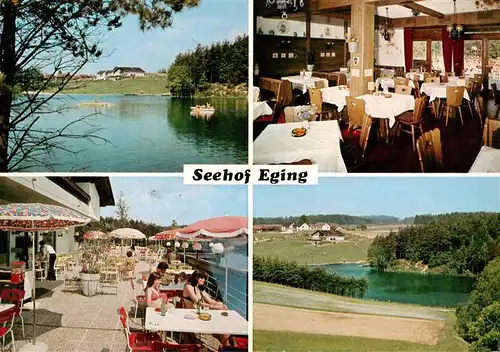 AK / Ansichtskarte 73907860 Eging__See_Bayerischer_Wald Restaurant Seehof Eging Gaststube Terrasse Panorama