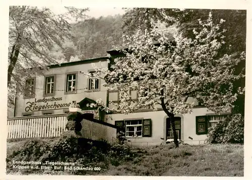 AK / Ansichtskarte  Krippen_Bad_Schandau Landgasthaus Ziegelscheune