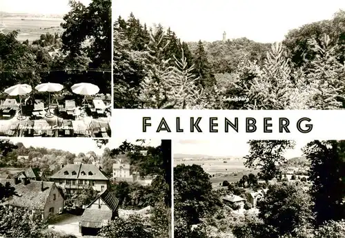 AK / Ansichtskarte  Falkenberg_Mark Schlossberg Terrasse Ortspartien