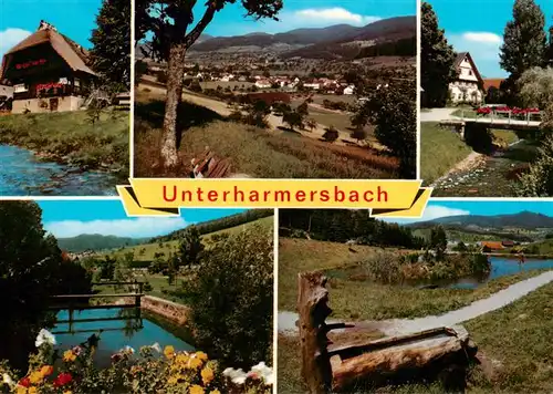 AK / Ansichtskarte  Unterharmersbach Teilansichten Kurpark