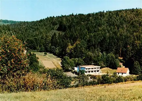 AK / Ansichtskarte  Oberlohrgrund Hotel Restaurant Pension Immenhof