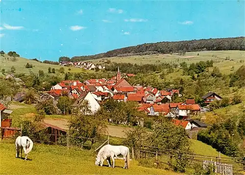 AK / Ansichtskarte 73908112 Weibersbrunn Panorama