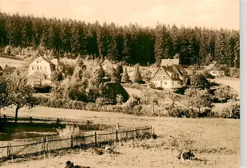 AK / Ansichtskarte  Falkenhain_Altenberg_Erzgebirge Panorama