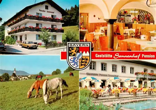 AK / Ansichtskarte  Bad_Endorf Gaststaette Pension Sonnenhof Gastraum Pool Terrasse Pferdekoppel