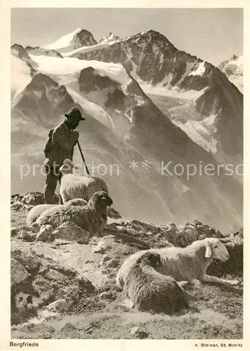 AK / Ansichtskarte  Schaeferei_Sheperding_Bergerie Bergfriede A Steiner St.Moritz 