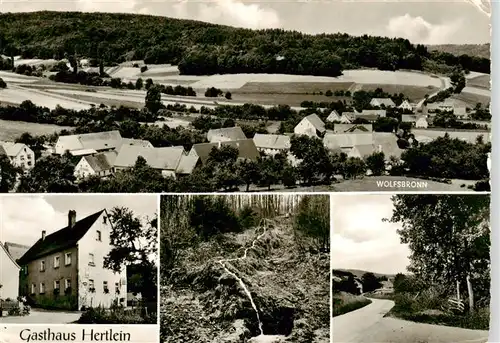 AK / Ansichtskarte 73908606 Wolfsbronn Panorama Gasthaus Hertlein Wasserfall Strasse