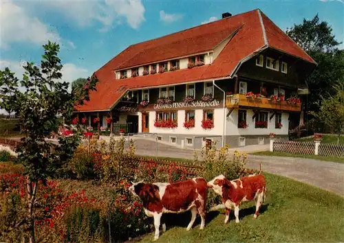 AK / Ansichtskarte 73908685 Haeusern_Schwarzwald Gasthaus Pension Schoepperle