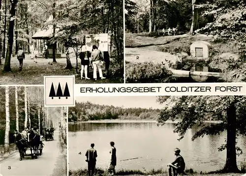 AK / Ansichtskarte 73908696 Colditz Erholungsgebiet Colditzer Forst Parkplatz Pilz Parthequelle Birkenallee Altteich