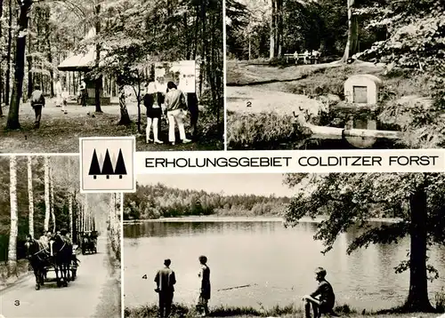 AK / Ansichtskarte  Colditz Erholungsgebiet Colditzer Forst Parkplatz Pilz Parthequelle Birkenallee Altteich