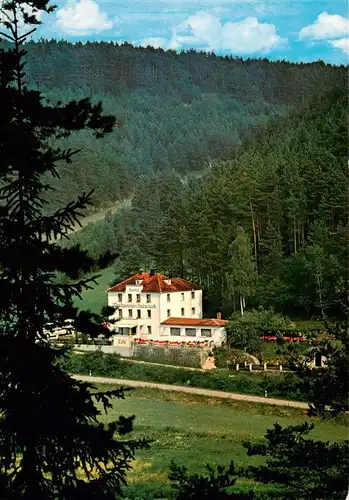 AK / Ansichtskarte  Rabeneck_Waischenfeld_Franken_Bayern Gasthof Waldpension Rabeneck