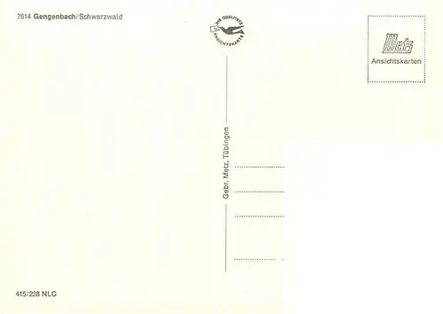 AK / Ansichtskarte  Gengenbach Brunnen Stadtpartien Schloss