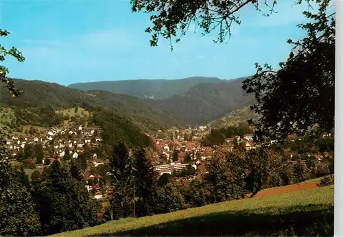 AK / Ansichtskarte  Oppenau Panorama im Renchtal