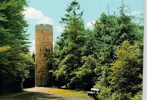 AK / Ansichtskarte  Roedinghausen Nonnenstein