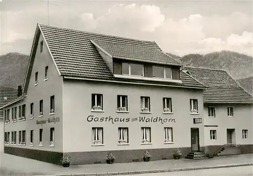 AK / Ansichtskarte 73909175 Oberwinden_Elztal Gasthaus zum Waldhorn