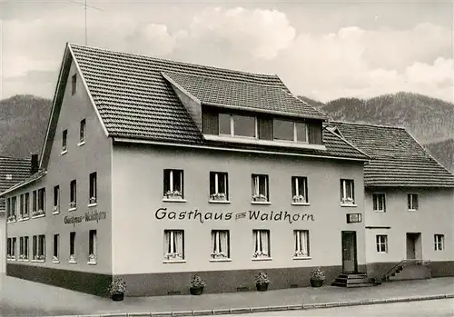 AK / Ansichtskarte  Oberwinden_Elztal Gasthaus zum Waldhorn