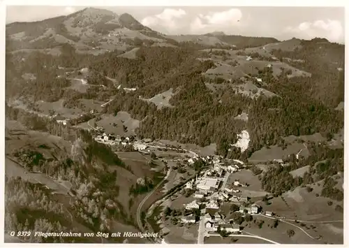 AK / Ansichtskarte  Steg_VS Fliegeraufnahme mit Hoernligebiet