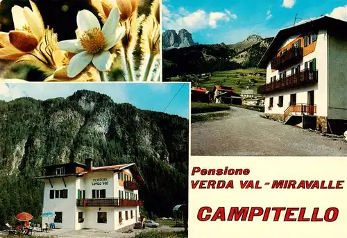 AK / Ansichtskarte 73909298 Campitello_di_Fassa_Trentino_IT Pensione Verda Val Miravalle