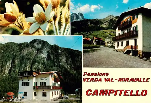 AK / Ansichtskarte  Campitello_di_Fassa_Trentino_IT Pensione Verda Val Miravalle