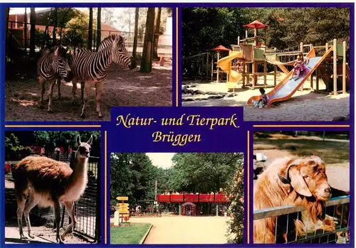 AK / Ansichtskarte 73909336 Brueggen_Tierpark_Schwalmtal Natur und Tierpark Brueggen Zebras Alpaka Ziegen Kinderspielplatz