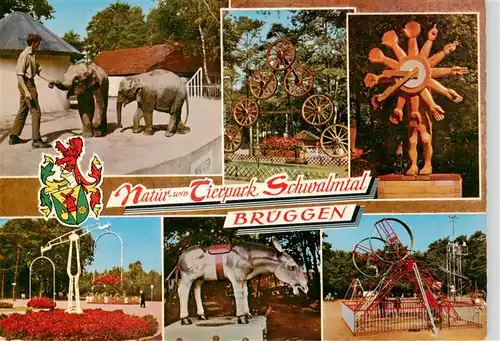 AK / Ansichtskarte  Brueggen_Tierpark_Schwalmtal Elefanten Park Teilansichten