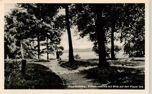 AK / Ansichtskarte 73909720 Plau_Mecklenburg Eichbaumsallee mit Blick auf den Plauer See