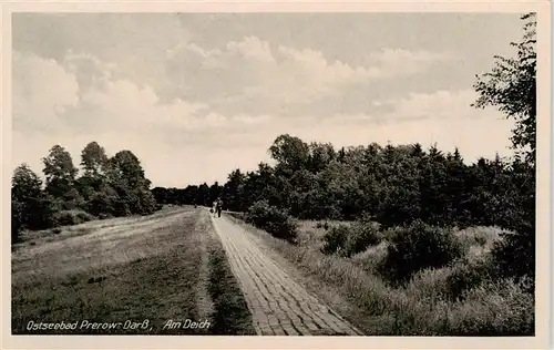 AK / Ansichtskarte  Prerow_Ostseebad Am Deich