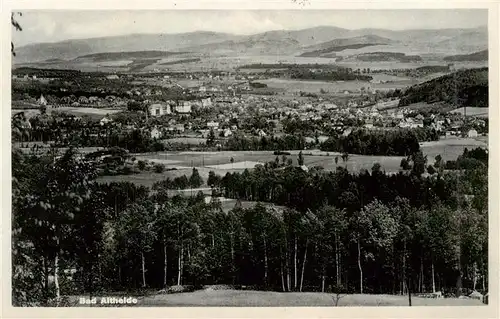 AK / Ansichtskarte  Bad_Altheide_Polanica-Zdrój_PL Panorama