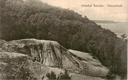 AK / Ansichtskarte  Rauschen_Ostseebad_Kaliningrad_Swetlogorsk_RU Venusschlucht