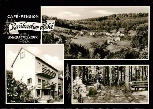 AK / Ansichtskarte  Raubach_Odenwald Cafe Pension Raubacher Hoehe Panorama Waldpartie