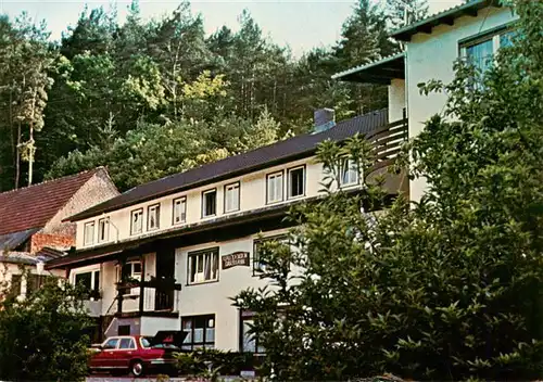 AK / Ansichtskarte  Breuberg_Odenwald Waldpension Hartmann