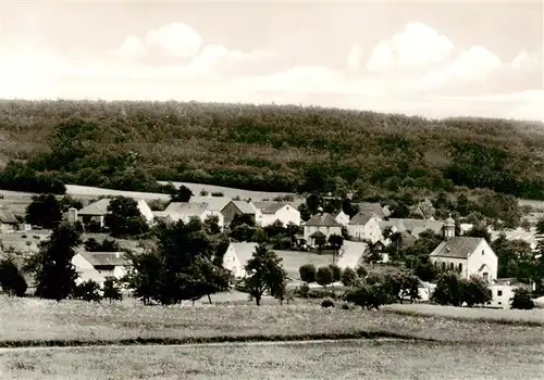 AK / Ansichtskarte  Hesselbach_Odenwald Panorama Gasthaus Pension Drei Lilien 