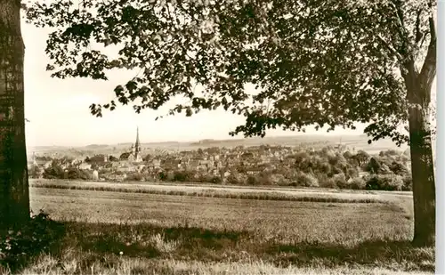 AK / Ansichtskarte  Geringswalde Panorama