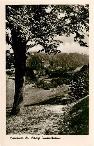 AK / Ansichtskarte  Liebstadt Schloss Kuckuckstein