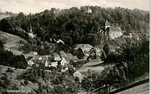 AK / Ansichtskarte  Liebstadt Teilansicht mit Schloss