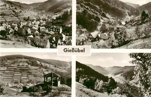 AK / Ansichtskarte 73910166 Giessuebel_Schleusegrund Teilansichten Landschaftspanorama