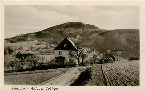 AK / Ansichtskarte  Lausche_Jonsdorf Teilansicht Ort im Zittauer Gebirge