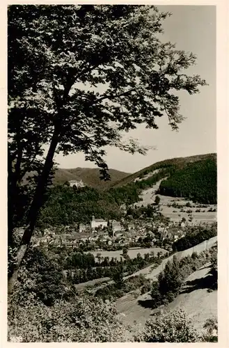 AK / Ansichtskarte  Leutenberg_Thueringen Panorama Handabzug