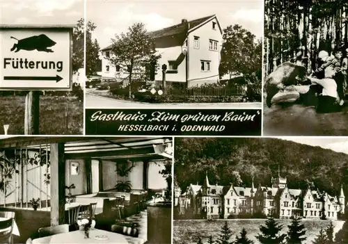 AK / Ansichtskarte  Hesselbach_Odenwald Gasthaus Zum gruenen Baum Gastraum Schloss