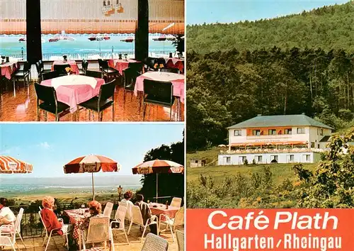 AK / Ansichtskarte  Hallgarten_Rheingau Cafe Plath Hotel Garni Gastraum Terrasse