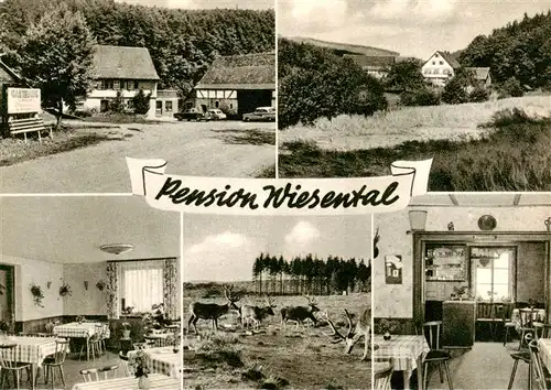 AK / Ansichtskarte 73910335 Miltenberg_Main Pension Wiesental Gastraeume Hirsche Panorama