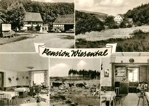 AK / Ansichtskarte  Miltenberg_Main Pension Wiesental Gastraeume Hirsche Panorama