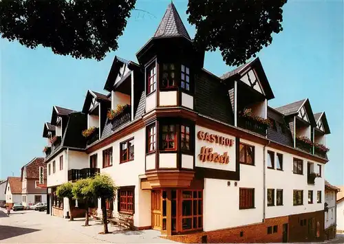 AK / Ansichtskarte  Rothenberg_Odenwald Gasthof Pension Cafe Hirsch