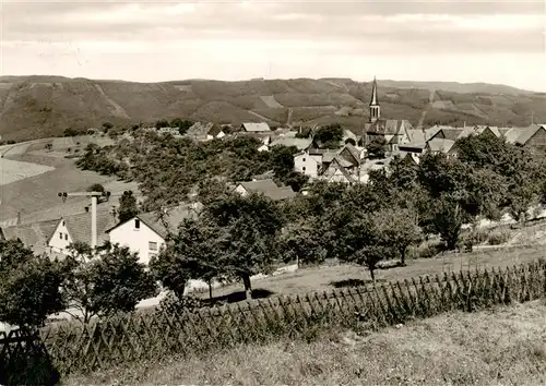 AK / Ansichtskarte  Rothenberg_Odenwald Panorama