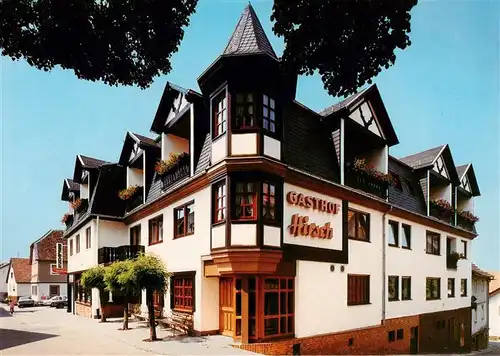 AK / Ansichtskarte  Rothenberg_Odenwald Gasthof Hirsch