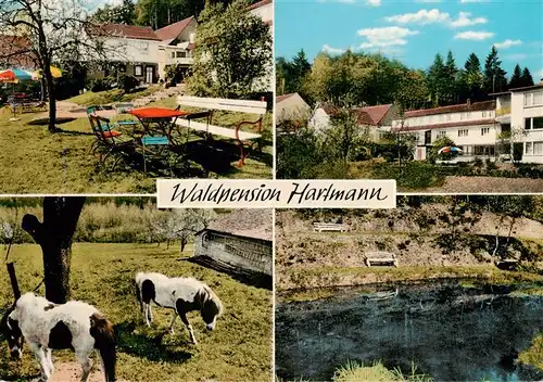 AK / Ansichtskarte  Rai-Breitenbach_Breuberg_Odenwald Waldpension Hartmann Freiterrasse Ponys Gondelteich