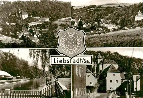 AK / Ansichtskarte 73910478 Liebstadt Panorama Schwimmbad Ortspartie