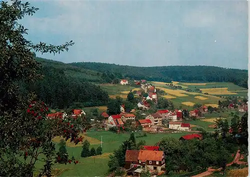 AK / Ansichtskarte  Hiltersklingen Panorama