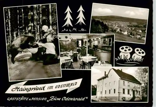 AK / Ansichtskarte 73910754 Haingrund Gaststaette Pension Zum Odenwald Gastraum Panorama