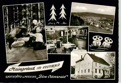 AK / Ansichtskarte  Haingrund Gaststaette Pension Zum Odenwald Gastraum Panorama