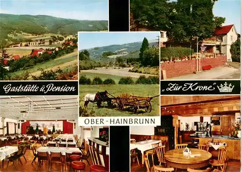 AK / Ansichtskarte  Ober-Hainbrunn Gaststaette Pension Zur Krone Gastraeume Terrasse Panorama